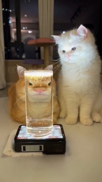 C0b4a9d8249d0180775a9ba144e2c8b7