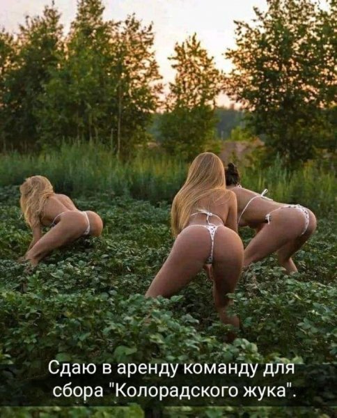 Cad5dbc4bc samyj-chernyj-jumor-v-memah-82
