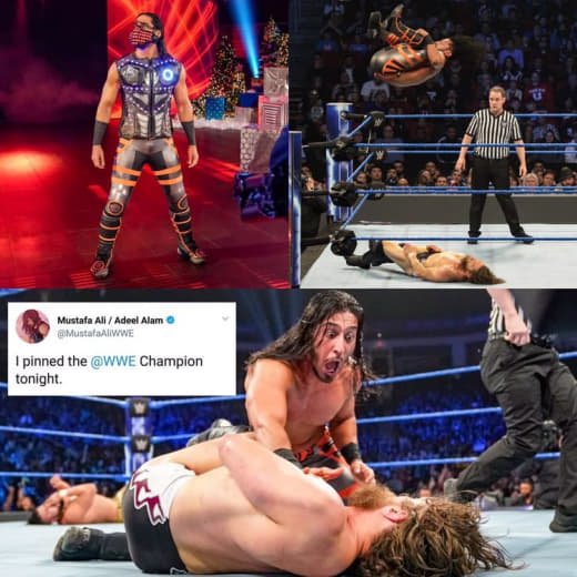 Wwe (494)