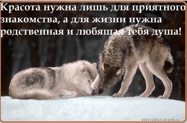image (4)-