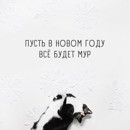 CCbioU8PSmvVq1yD EreMqN1EgXbSgeXIw8I6bArlInOAL AC
