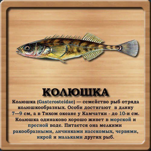 Колюшка