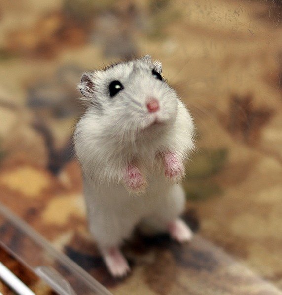 mailalexphoenix217i-358