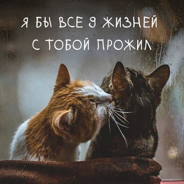 picture_296679268