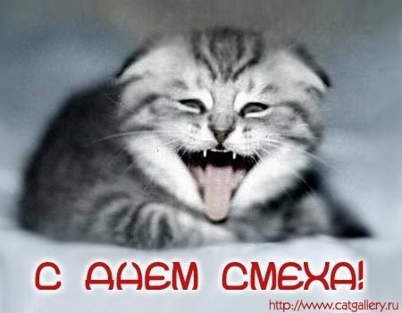 1 апреля 26