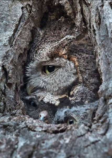 E2794fbff435a67cb294b4aa92cc3caa