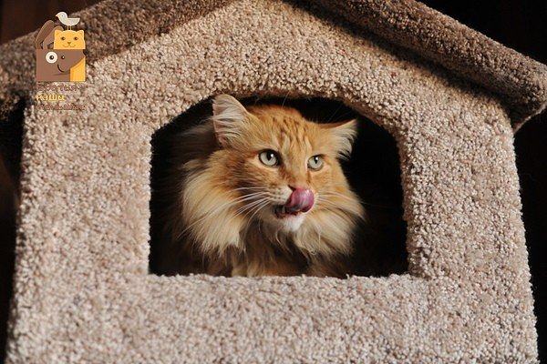 I - 2026-04-04T235846.938