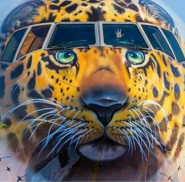 FB IMG 1613275710024