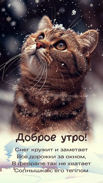Доброе утро!