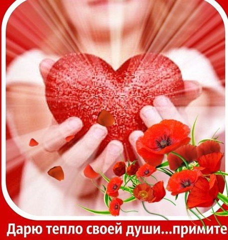 image(28)