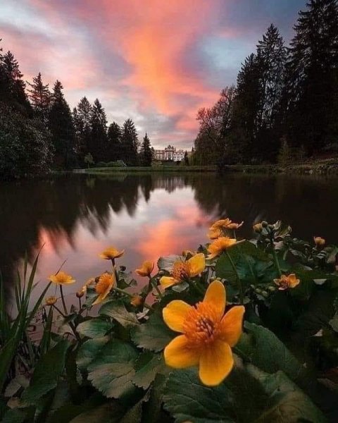 20-33-37-178937961 274186754349170 1002466328783048215 n