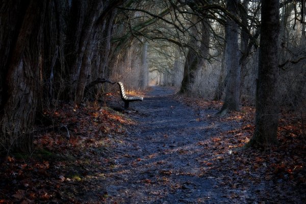Park-skamya-osen-921