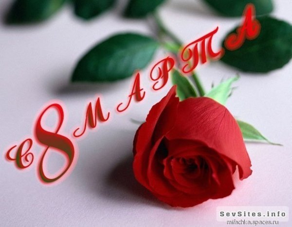 S 8 Marta1
