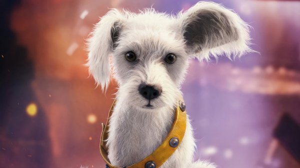 Krypto-supergirl-movie-4k 862@5@m