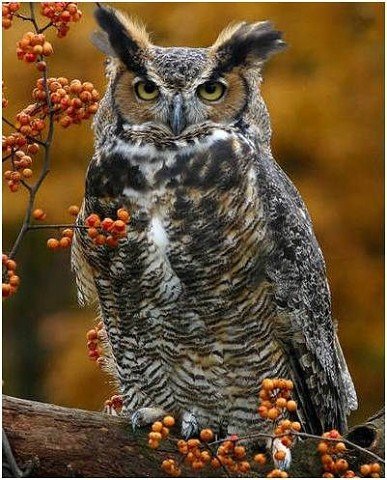 I - 2025-10-13T205405.759