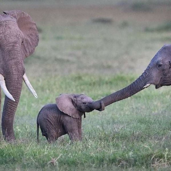 b54531d38cefa5633274a256c568