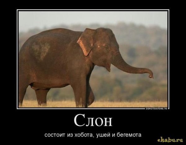 pics