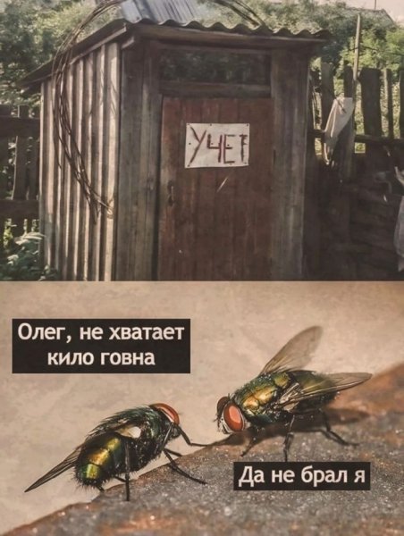 Chernyj-jumor-v-kartinkah-memah-dlja-nastroenija-15