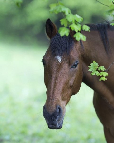 15-12-47-209047751 246089746899255 6371580813969186613 n