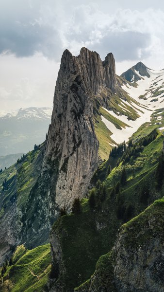 NaturalTexture007