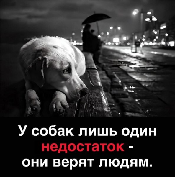 В точку