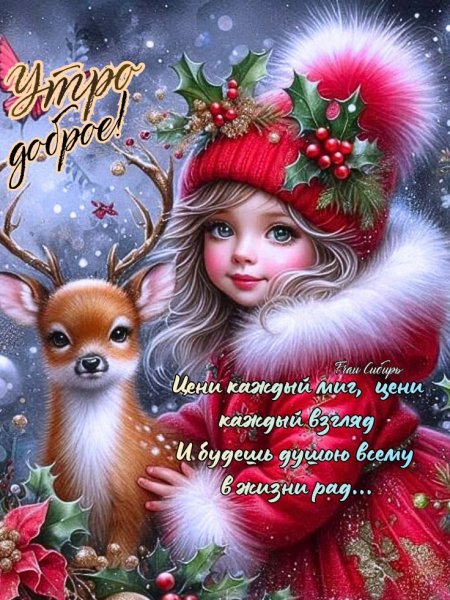 B529cc251c61a3e15d710db60acc4319