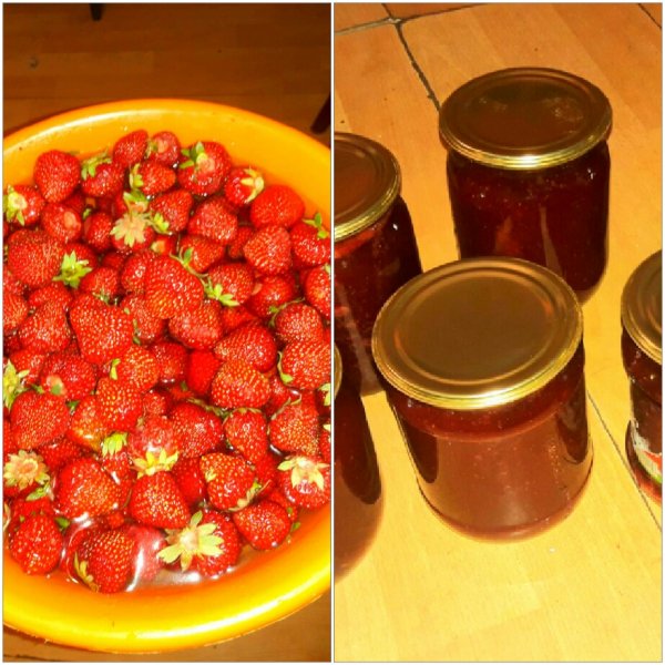 Klubnichka-vps404.strip2.co