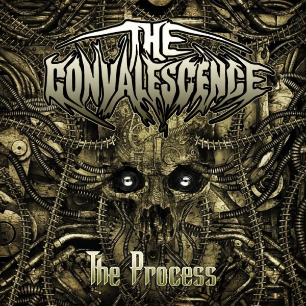 The Convalescence "The Process" (2014)