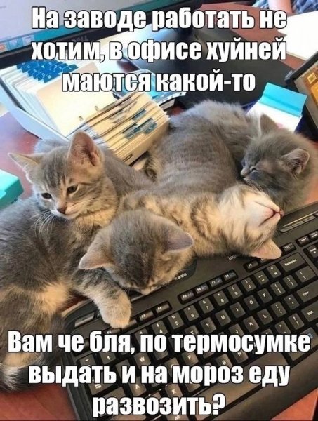 picture_412697120
