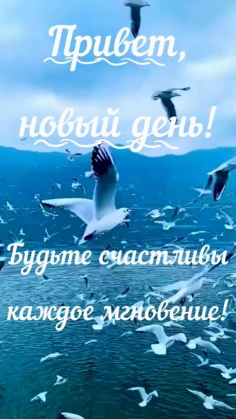 Доброе утро!