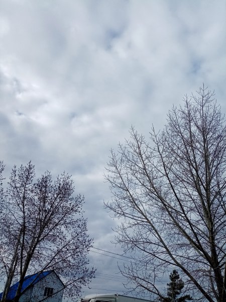 IMG 20250407 172651