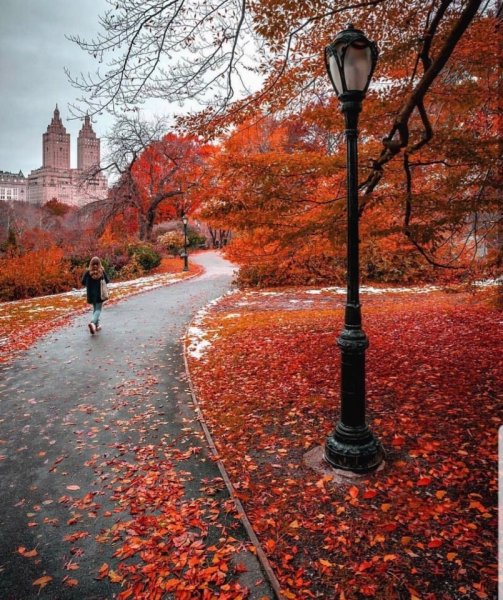 a41c7293624b7afab59260085be2411a0w