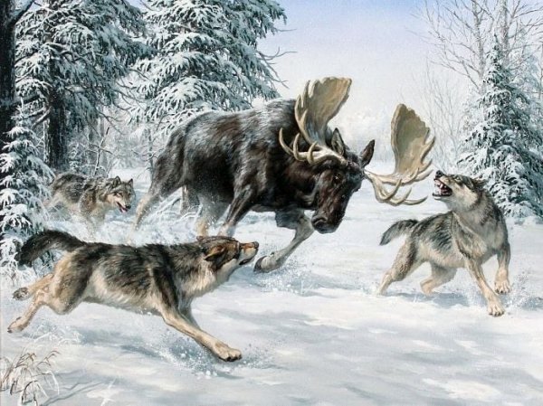 14-55-58-187840137 112849754311600 2843249332642838745 n