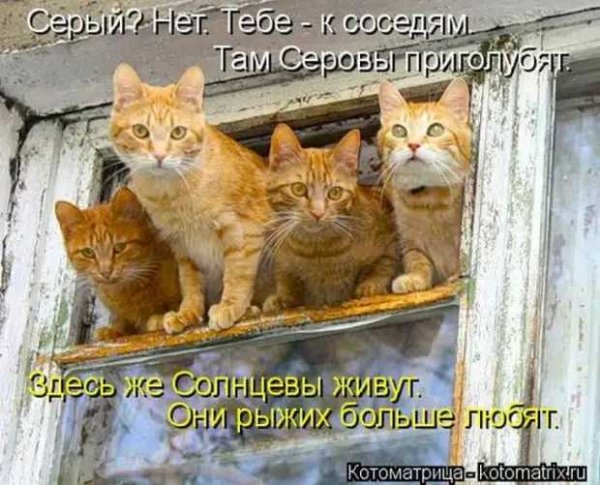 Да!!!
