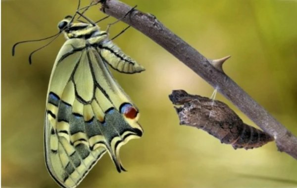 EtHhlRPqQ9yhvlgPA71-ztgmSSbvYb0hWqZ-L7Ekf035qug6I5Rq63z8uck0