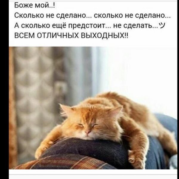 Всем отличных выходных!!!