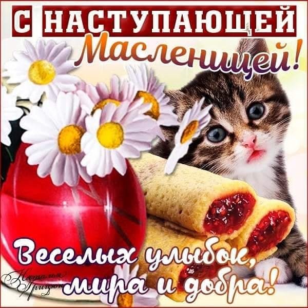 picture_262993487