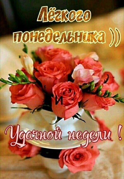 IMG-20210524-WA0002