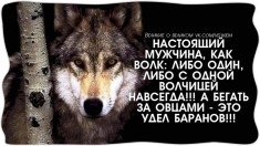 p.236.236.0