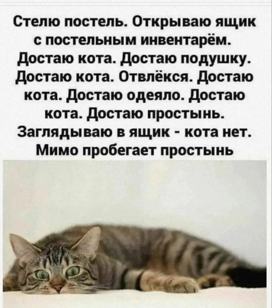 Оба - на!!!