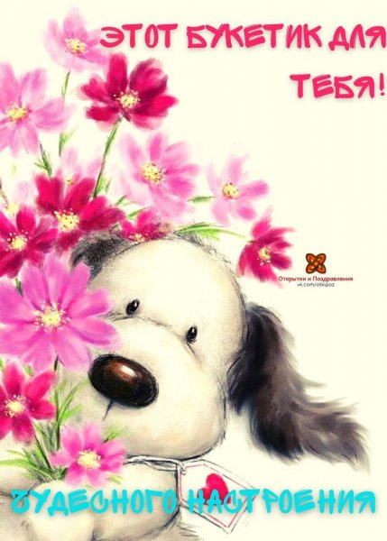-fs9eE76jJo