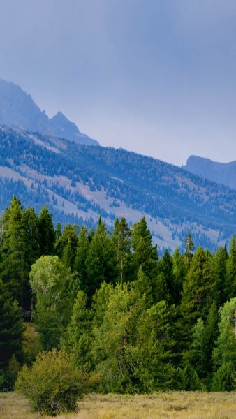 Screenshot 20250307-214411 One UI Home