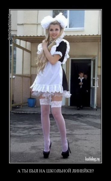 picture_241964901