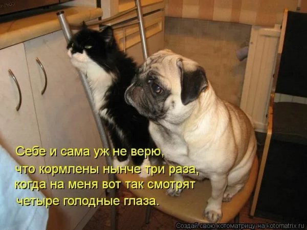 Голодные глаза