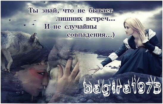 image (1)