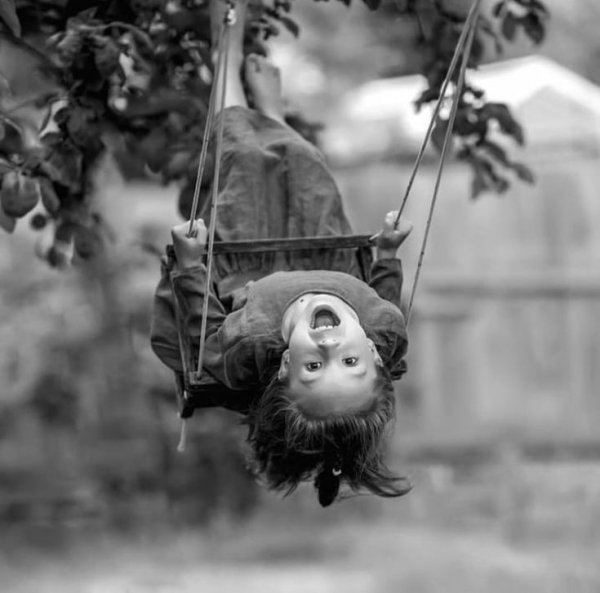 31b9b0d7a63aeb979a038ce56dfa2587