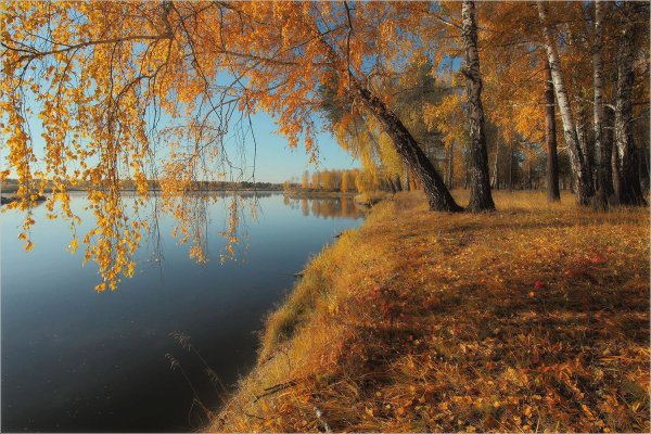 В сентябре