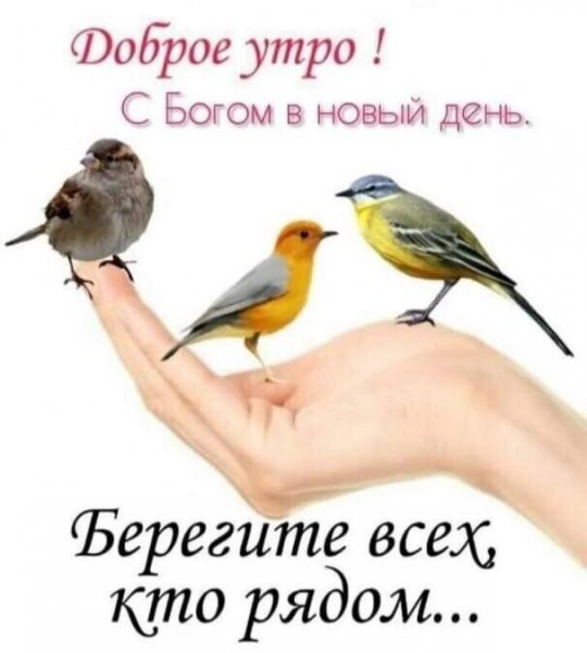 IMG-20210710-WA0000