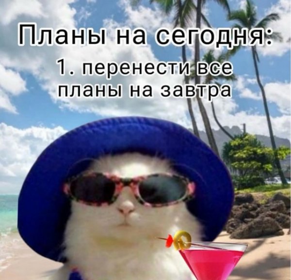 B1fa25ad32 20273261