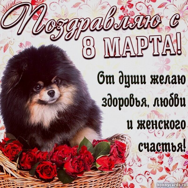 8 марта 010014